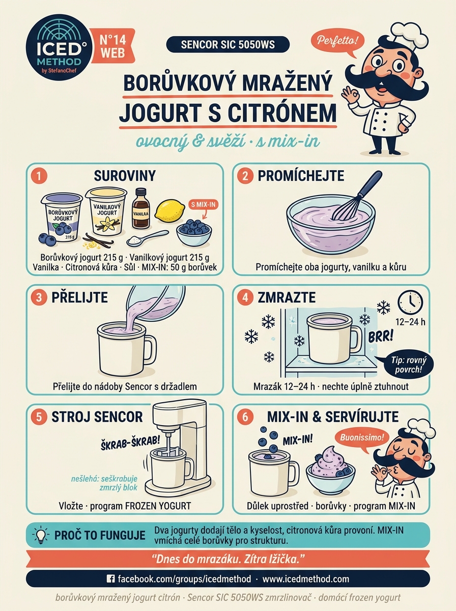 Borůvkový mražený jogurt s vanilkou a citrónem Sencor karta