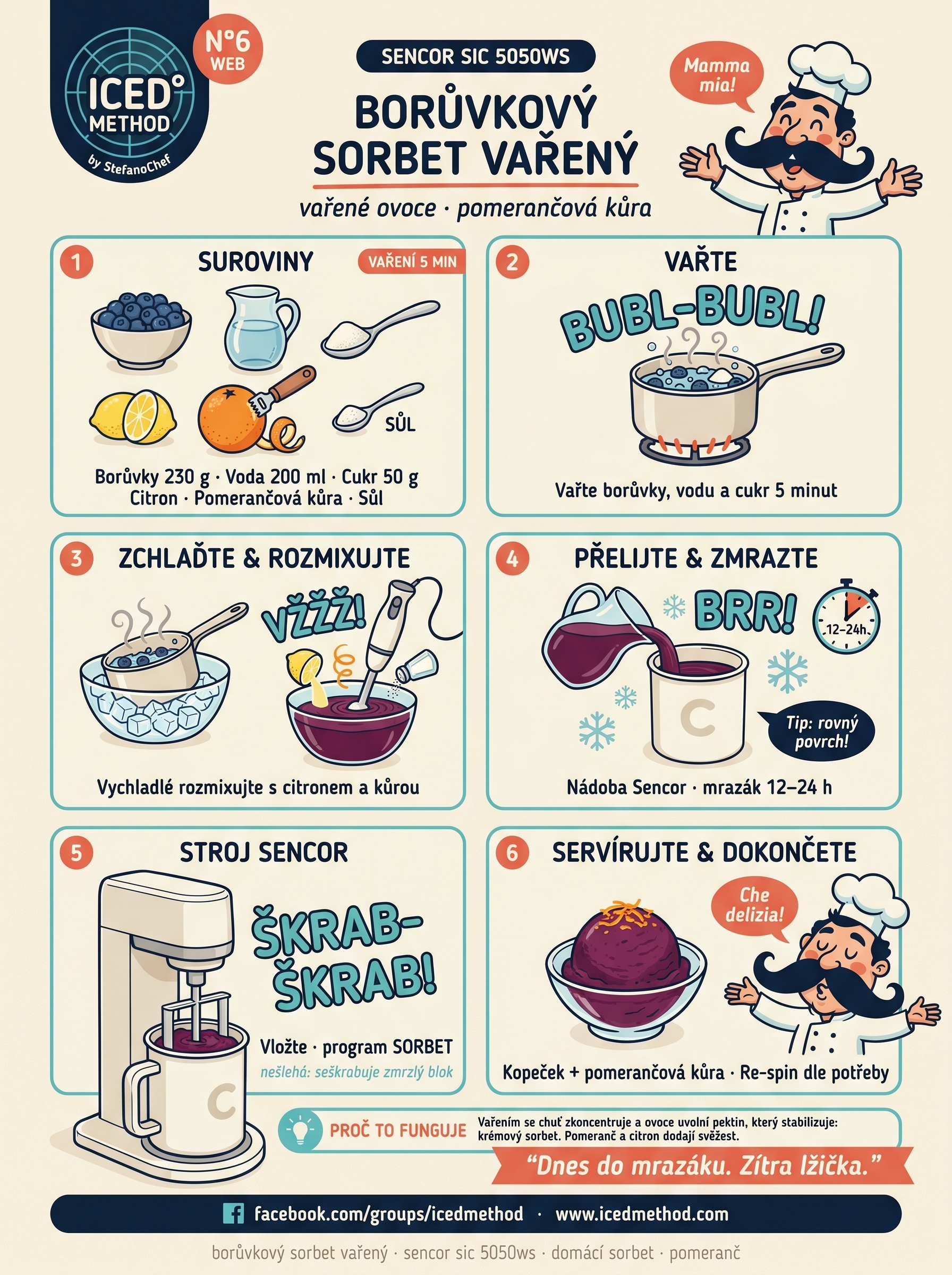 Vařený borůvkový sorbet s pomerančovou kůrou Sencor karta